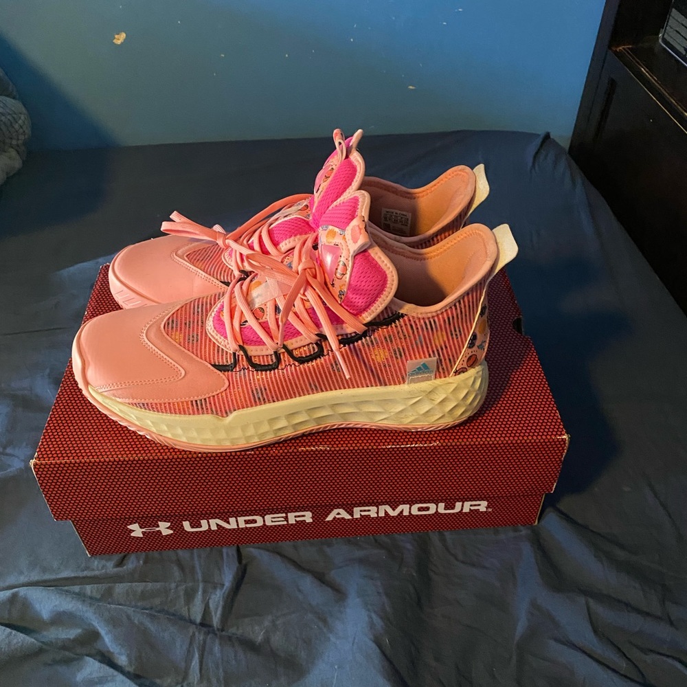 Adidas Pro boost shoes
